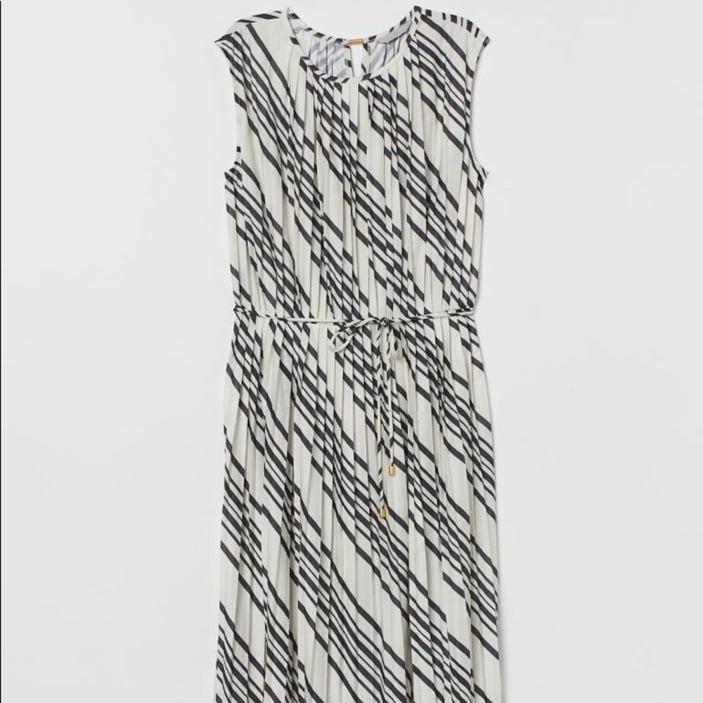 H&M Pleated Dress